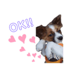 REN！！！！（個別スタンプ：4）