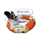 REN！！！！（個別スタンプ：5）