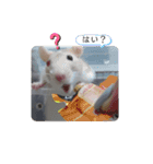 ラットスタンプ（個別スタンプ：9）
