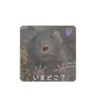 ラットスタンプ（個別スタンプ：12）