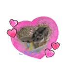 ラットスタンプ（個別スタンプ：15）