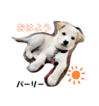 三男坊！（個別スタンプ：2）