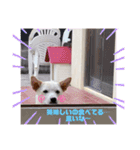 三男坊！（個別スタンプ：5）