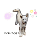 三男坊！（個別スタンプ：8）