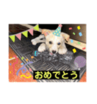 三男坊！（個別スタンプ：12）