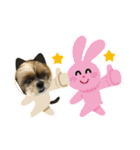 シーズー犬ぽぽ4（個別スタンプ：2）