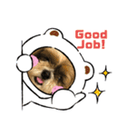 シーズー犬ぽぽ4（個別スタンプ：5）