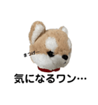 今日もかわいいころちゃん（個別スタンプ：10）