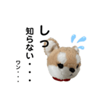 今日もかわいいころちゃん（個別スタンプ：13）