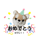 今日もかわいいころちゃん（個別スタンプ：14）