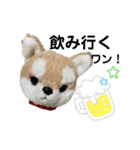 今日もかわいいころちゃん（個別スタンプ：15）