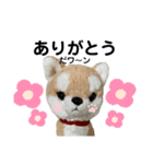 今日もかわいいころちゃん（個別スタンプ：16）
