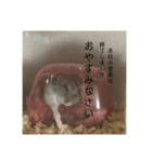 チンチラ×ハム2匹（個別スタンプ：8）