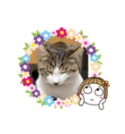 りくさん むぎさん（個別スタンプ：4）