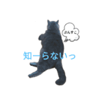 ブリティッシュさん（個別スタンプ：4）