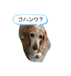 まりんの森（個別スタンプ：5）