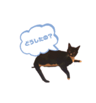 靴下猫のルナ（個別スタンプ：2）