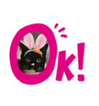 靴下猫のルナ（個別スタンプ：7）