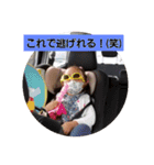 楓夏パート2（個別スタンプ：9）