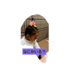 楓夏パート2（個別スタンプ：11）