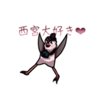 にしつーどり(西宮)（個別スタンプ：10）