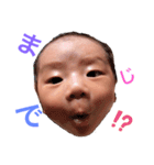 shy_15（個別スタンプ：3）
