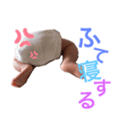 shy_15（個別スタンプ：6）
