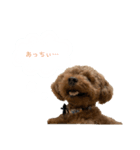 びびっこ vol.2（個別スタンプ：1）