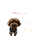 びびっこ vol.2（個別スタンプ：3）