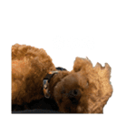 びびっこ vol.2（個別スタンプ：9）