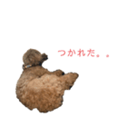 びびっこ vol.2（個別スタンプ：13）