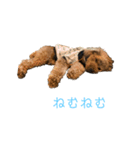 びびっこ vol.2（個別スタンプ：15）