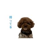 びびっこ vol.2（個別スタンプ：16）