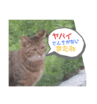 み ととん（個別スタンプ：1）