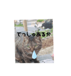 み ととん（個別スタンプ：2）