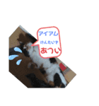み ととん（個別スタンプ：4）