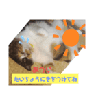 み ととん（個別スタンプ：7）