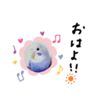 セキセイインコと猫3（個別スタンプ：20）