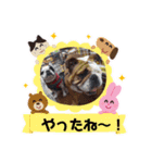 可愛いぶぶママファミリー♡3（個別スタンプ：8）