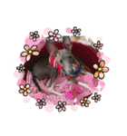 可愛いぶぶママファミリー♡3（個別スタンプ：24）