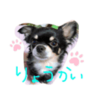 まりあの日常1（個別スタンプ：11）