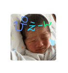 はるはるすたんぷぷぷ（個別スタンプ：5）