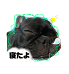 ふれぶるのぼんちゃん（個別スタンプ：5）
