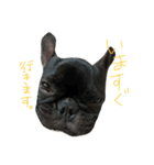 ふれぶるのぼんちゃん（個別スタンプ：12）