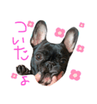 ふれぶるのぼんちゃん（個別スタンプ：14）