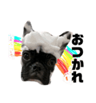 ふれぶるのぼんちゃん（個別スタンプ：15）