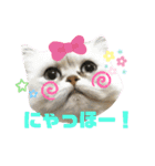ククちゃんファミリーの日常スタンプ（個別スタンプ：1）