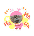 ククちゃんファミリーの日常スタンプ（個別スタンプ：5）