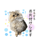 ククちゃんファミリーの日常スタンプ（個別スタンプ：13）