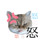 ククちゃんファミリーの日常スタンプ（個別スタンプ：14）
